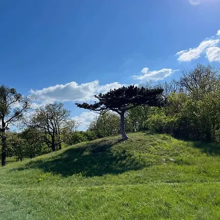 Apartment Vizko Relax&chill