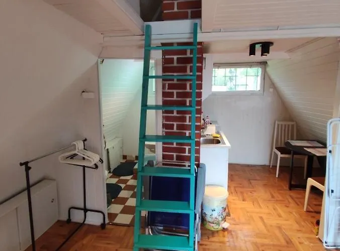 Vizko Relax&chill * 센드베칼러