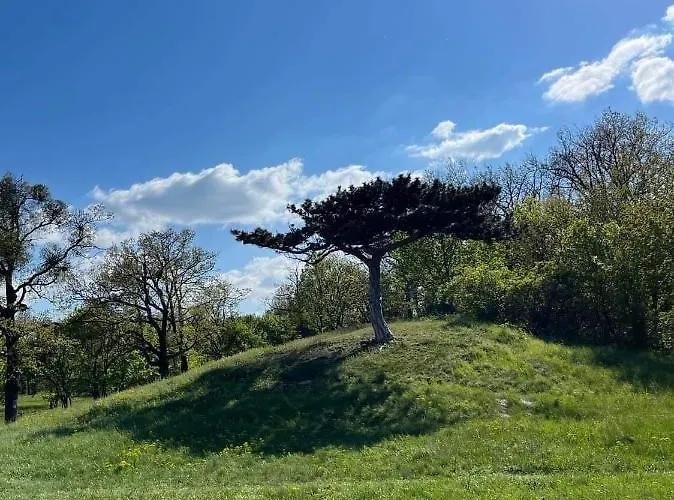 아파트 Vizko Relax&chill