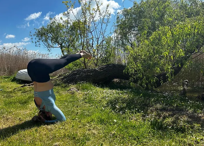 Vizko Relax&chill 센드베칼러